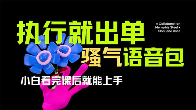 （14170期）爆火全网的开车导航骚气语音包,只要执行就出单，小白看完课程就能实操...-亮剑学堂