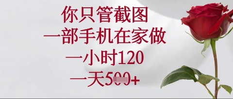 你只管截图，一部手机在家操作，一小时120.一天5张【揭秘】-亮剑学堂